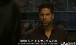 犯罪心理13季在线观看,心理探案新篇章，在线观看揭秘罪案心理